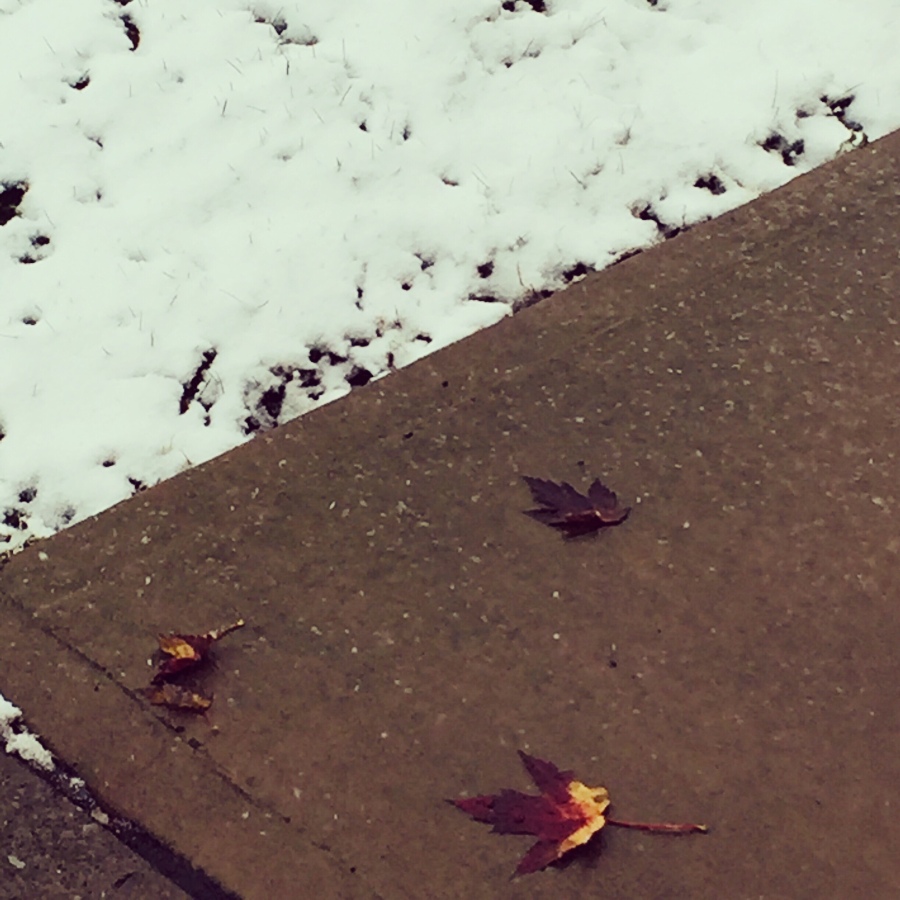 Picture of the Day -“When Autumn Meets Winter”