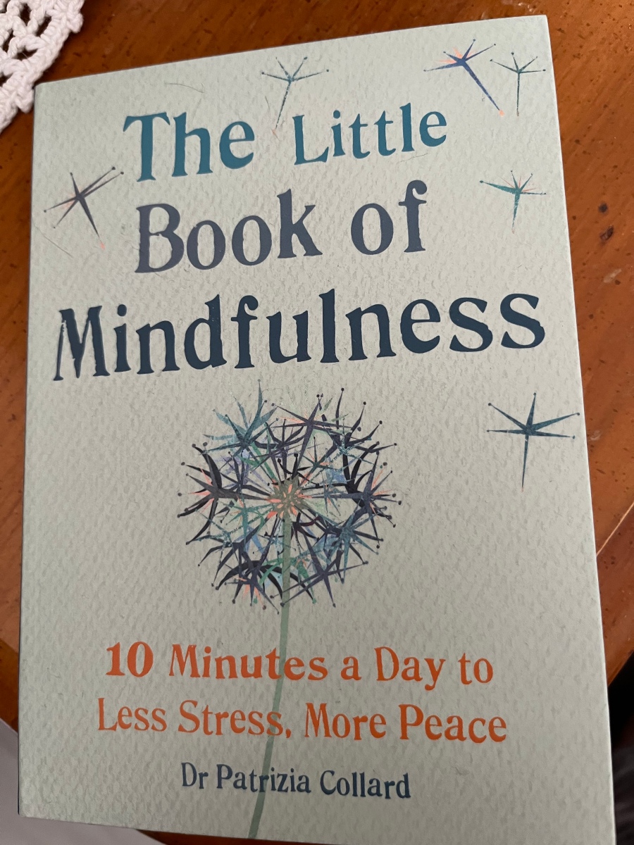 The Little Book of Mindfulness - Live Around the Pain