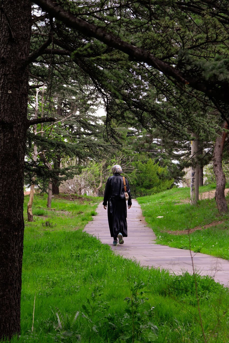 The Road to&nbsp;Recovery